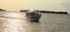 Кабинный катер Searene 745 Crew Cabin