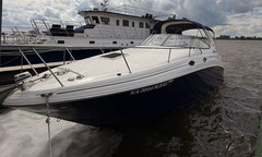 Катер Sea Ray 315 Sundancer