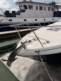 Катер Sea Ray 315 Sundancer