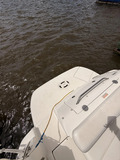 Катер Sea Ray 315 Sundancer